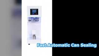 Automatic Can Sealing Machine Fast Reliable Packaging